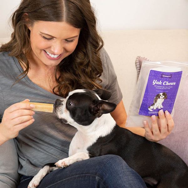 PawsGive Yak Chews for Dogs - All Natural Golden Yak Milk - Lactose & Grain Free, 4 Pack Small Chews