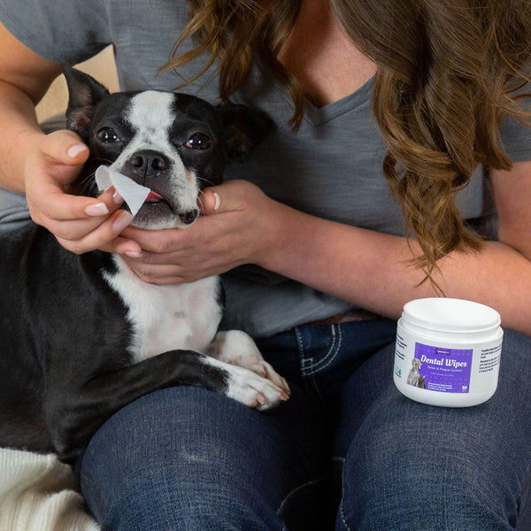 PawsGive Dental Wipes for Dogs to Reduce Tartar, Plaque and Bad Breath, 50 Wipes