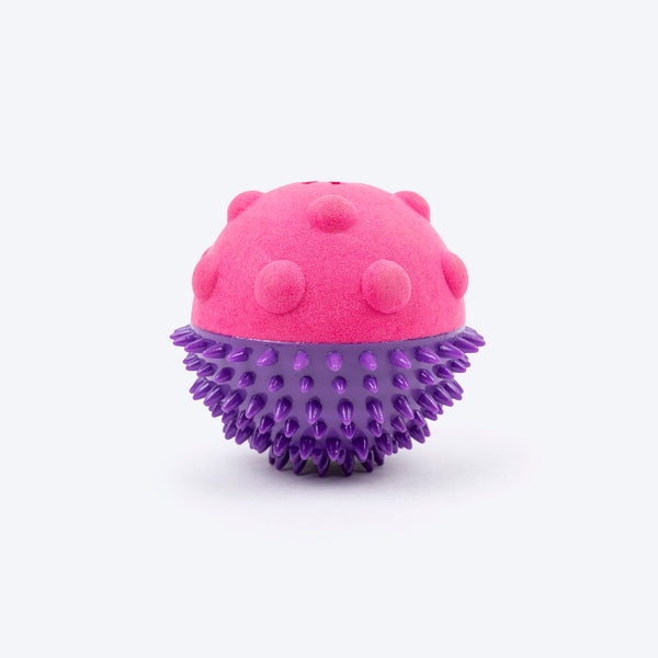 Dash Dog Spikey Snacker Chew Toy For Dog - Purple & Pink
