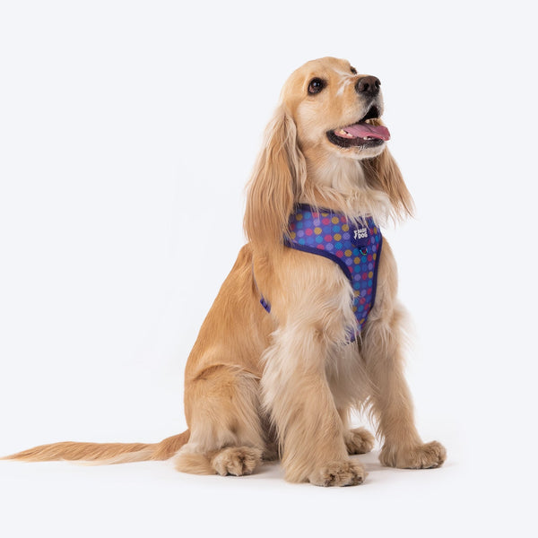 Dash Dog Circle Reversible Harness - Violet & Red