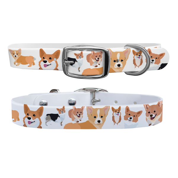 Corgi Dog Collar With Silver Buckle
